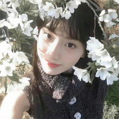 驯鹿总动员